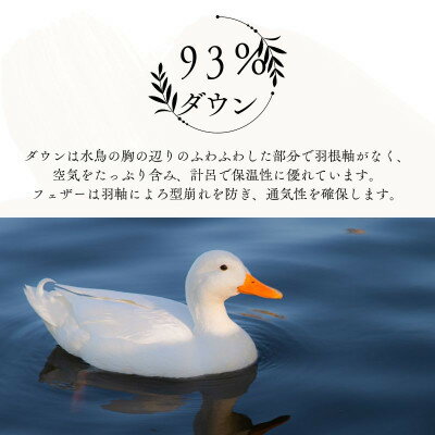 【ふるさと納税】羽毛布団クイーン綿100%超長綿60番手生地使用ダウン93%1.8kgDp380立体スクエアキルト【1144983】