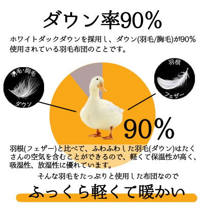 【ふるさと納税】洗える羽毛合い掛け布団シングル ダウン90%350dp羽毛1.0kg 北欧デザイン ベージュ【1443231】 3