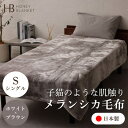 【ふるさと納税】【メランシカ毛布 シングルサイズ ホワイト×ブラウン】140×200cm 大阪府忠岡町産【1512575】