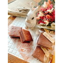 【ふるさと納税】濃厚生チョコ咲く咲くココアクッキーサンド8個入り【配送不可地域:離島】【1564749】