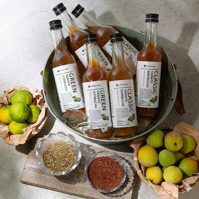 【ふるさと納税】老舗酵素メーカー「大和酵素」が作る、 本物のコンブチャ　(280ml×12本)【1125094】