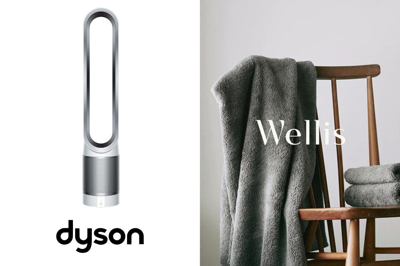 【ふるさと納税】Wellis×dyson　Wellis 　Dyson Pure Cool Link™ 空気清浄機能付タワーファン ホワイト／シルバー (TP03 WS)　セット　BK1　F2