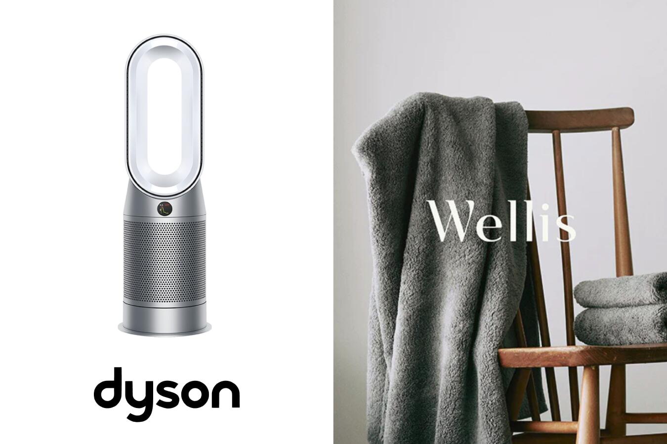 Wellis×dyson Wellis Dyson Purifier Hot+Cool™空気清浄ファンヒーター ホワイト/シルバー セット(HP07 WS) TK1 B4