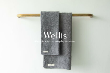 Wellis フルセット グレー （009_5034_02）