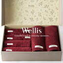 【ふるさと納税】Wellis【極上の肌心地】 ギフトフルセット ボルドー(009_5034_04)
