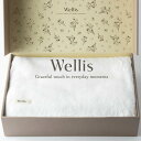 【ふるさと納税】Wellis【極上の肌心地】タオルケット1枚 ギフトセット(009_5044)