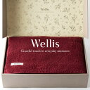 【ふるさと納税】Wellis【極上の肌心地】タオルケット1枚 ギフトセット ボルドー(009_5044_04)