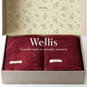 【ふるさと納税】Wellis【極上の肌心地】ブランケット2枚 ギフトセット ボルドー(009_5045_04)