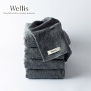 【ふるさと納税】Wellis【極上の肌心地】バスタオル4枚 グレー(009_5109)