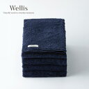 【ふるさと納税】Wellis【極上の肌心地】フェイスタオル2枚 ネイビー(009_5114)