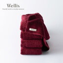 【ふるさと納税】Wellis【極上の肌心地】フェイスタオル4枚 ボルドー(009_5119)