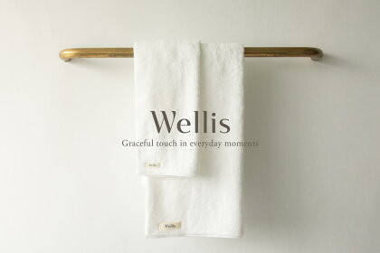 Wellis フルセット ナチュラルホワイト （009_5034_01）