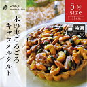 【ふるさと納税】木の実ごろごろキャラメルタルト【カフェつろぎ】(003_5006)