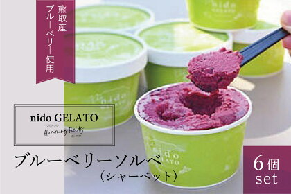 ブルーベリーソルベ「Nido GELATO」(6個)【Humming Fields】（025_5001）