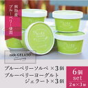 【ふるさと納税】ソルベ&ジェラート「Nido GELATO」(2種 計6個)【Humming Fields】(025_5003)