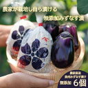 【ふるさと納税】水なす漬け6個セット(042_5004)
