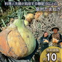 【ふるさと納税】岸上農園 泉州玉ねぎ 約10kg(043_5002)
