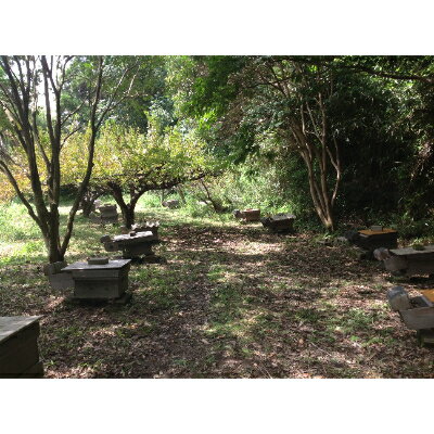 大阪府岬町の画像3