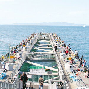 【ふるさと納税】岬町海釣り公園・とっとパーク小島利用券【11枚セット】【1267397】