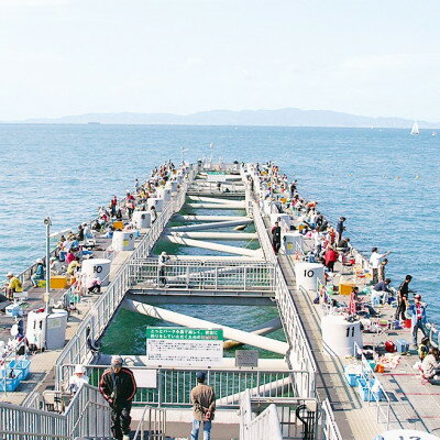 【ふるさと納税】岬町海釣り公園・とっとパーク小島利用券【ファミリーセット】【1267400】