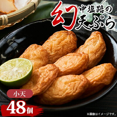 【ふるさと納税】【練り天ぷら合計48個】中塩路の幻天ぷら 小天8個入り×6パック 【配送不可地域:離島・北海道・沖縄県】【1479267】