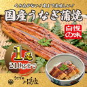【ふるさと納税】【冷凍1尾】岬町自慢の味 うなぎの川島家 国産うなぎ蒲焼 中サイズ(195〜210g)特製タレ付き【配送不可地域:離島】【1488335】