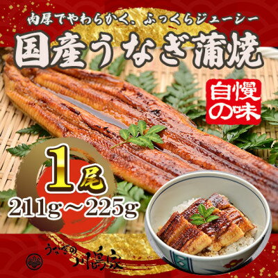 【冷凍1尾】岬町自慢の味　うなぎの川島家　国産うなぎ蒲焼　大サイズ(211g～225g)特製タレ付き【配送不可地域：離島】【1488339】