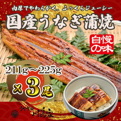 【冷凍3尾】岬町自慢の味　うなぎの川島家　国産うなぎ蒲焼　大サイズ(211g～225g)特製タレ付き【配送不可地域：離島】【1488341】