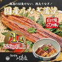 30位! 口コミ数「0件」評価「0」【冷凍1尾】岬町自慢の味　うなぎの川島家　国産うなぎ蒲焼　特大サイズ(226g以上)特製タレ付き【配送不可地域：離島】【1488342】