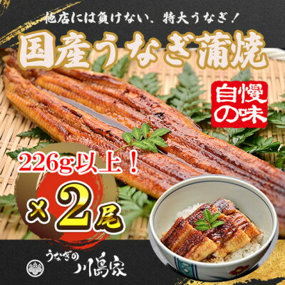 28位! 口コミ数「0件」評価「0」【冷凍2尾】岬町自慢の味　うなぎの川島家　国産うなぎ蒲焼　特大サイズ(226g以上)特製タレ付き【配送不可地域：離島】【1488344】