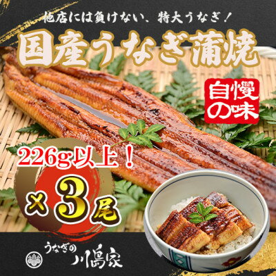 17位! 口コミ数「0件」評価「0」【冷凍3尾】岬町自慢の味　うなぎの川島家　国産うなぎ蒲焼　特大サイズ(226g以上)特製タレ付き【配送不可地域：離島】【1488346】