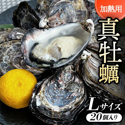 【Lサイズ20個入り:約80～61g/個】加熱用真牡蠣 深日オイスターファーム直送 専用ナイフ付き 【配送不可地域：離島・北海道・沖縄県】【1570788】