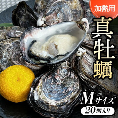 【Mサイズ20個入り:約60～41g/個】加熱用真牡蠣 深日オイスターファーム直送 専用ナイフ付き 【配送不可地域：離島・北海道・沖縄県】【1570827】