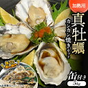 【ふるさと納税】【缶付き5kg:約80〜50g/個】加熱用真牡蠣 カンカン焼きセット 専用ナイフ付き 【配送不可地域:離島・北海道・沖縄県】【1570999】