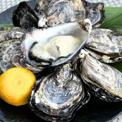 大阪府岬町の画像2