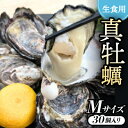 【ふるさと納税】《Mサイズ30個入り:約41〜60g/個》生食用真牡蠣 深日オイスターファーム直送 専用ナイフ付き【配送不可地域:離島・北海道・沖縄県】【160...