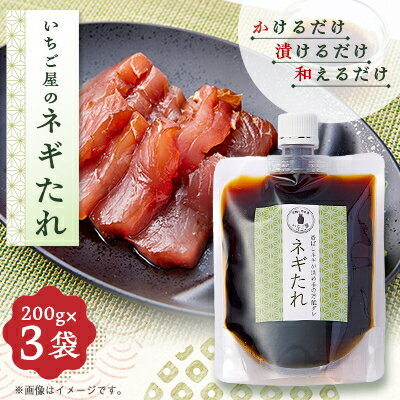 【ふるさと納税】《3袋入り》万能調味料「ねぎタレ」便利なチューブパウチ　保存料・着色料無添加【配送不可地域：離島】【1712909】