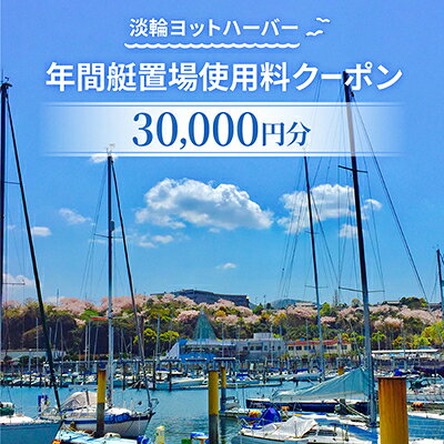 乐天商城 - 【ふるさと納税】淡輪ヨットハーバー　年間艇置場使用料クーポン　30,000円分【1738877】