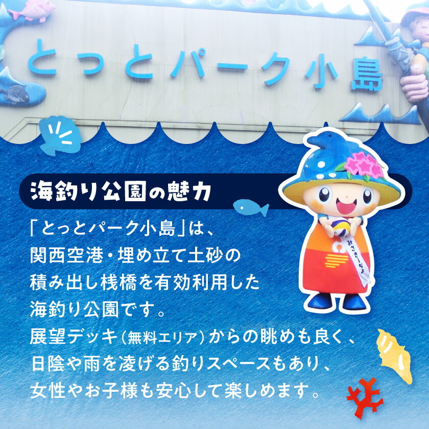 【ふるさと納税】岬町海釣り公園・とっとパーク小島利用券【11枚セット】_ チケット 利用券 とっとパーク小島 1名様利用券 11枚 券 海釣り公園 釣り つり 海釣り フィッシング 海 レジャー アウトドア 大阪府 岬町 送料無料 【1267397】