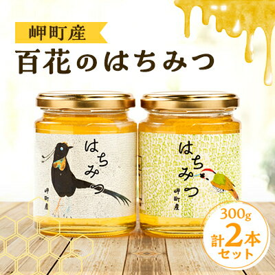 【ふるさと納税】岬町産 百花のはちみつ 300g×2本セット【1519697】