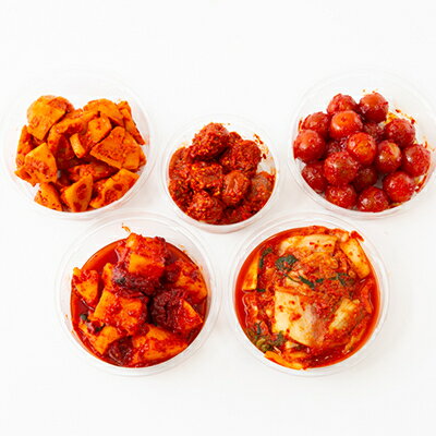 【ふるさと納税】キムチ5種詰め合わせセット【配送不可地域：離島・北海道・沖縄県・東北・九州】【1634981】