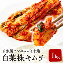 【ふるさと納税】中辛 白菜株キムチ1kg【配送不可地域:離島】【1634999】