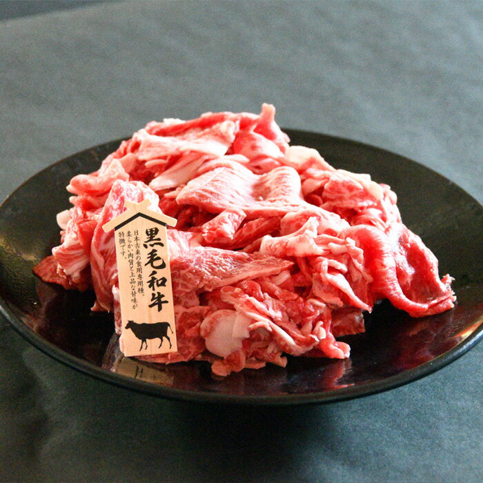 【ふるさと納税】No.201 黒毛和牛　切り落し　約700g（約350g×2） ／ 牛肉 切落し カット 送料無料 大阪府