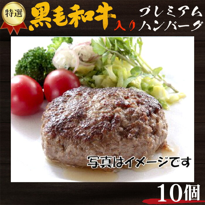 【ふるさと納税】No.217 特選黒毛和牛入り　プレミアムハンバーグ　10個入 ／ 加工品 惣菜 冷凍 送料無料 大阪府
