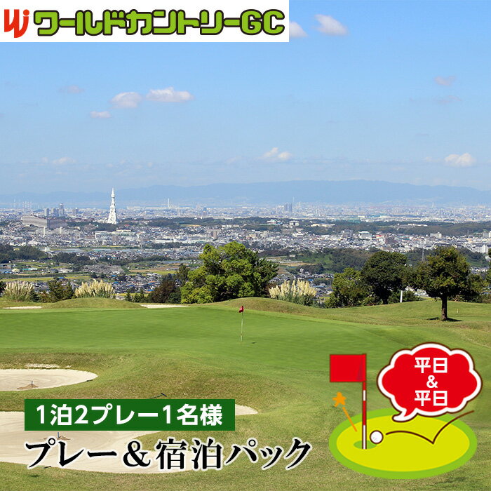 ڤդ뤵ǼǡNo.237ɥȥ꡼GCʿʿۥץ졼ѥå12ץ졼1̾͡µС٥塼å̵
