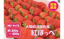 フルーツ・果物(いちご)人気ランク5位　口コミ数「1件」評価「1」「【ふるさと納税】No.256 【紅ほっぺ】MIX（サイズいろいろ）300-400g程度 ／ 苺 いちご イチゴ 果物 フルーツ 送料無料 大阪府」