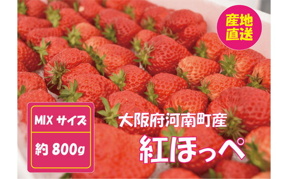 ڤդ뤵ǼǡNo.257ڹȤۤäڡMIXʥ800g١ʪե롼̵