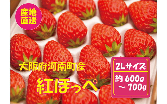 【ふるさと納税】No.258 【紅ほっぺ】2Lサイズ(40粒) / 苺 いちご イチゴ 果物 フルーツ 送料無料 大阪府