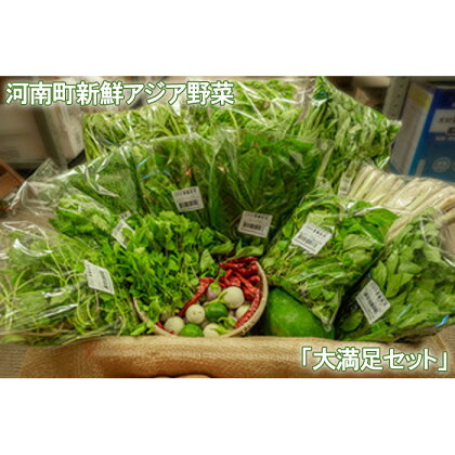 No.334 河南町新鮮アジア野菜「大満足セット」 ／ やさい パクチー バジル 唐辛子 詰め合わせ 送料無料 大阪府