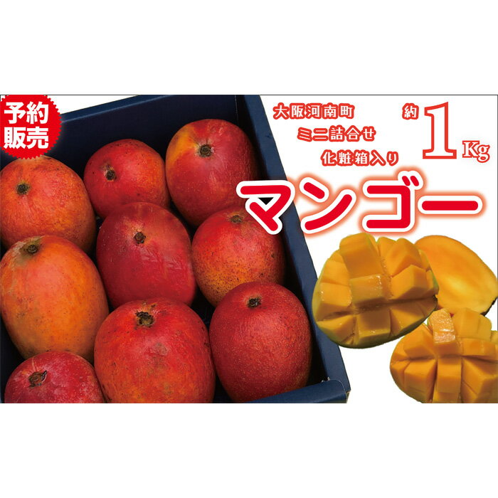 名もなきマンゴー 化粧箱詰合せ ミニ約1kg / フルーツ 果物 ギフト 送料無料 大阪府